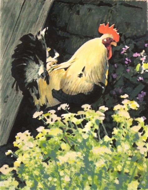 Rooster (colour)