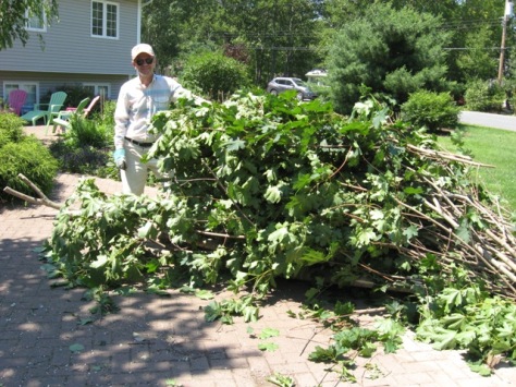Ron had to clean up all the branches and mess from Hurricane Arthur.  